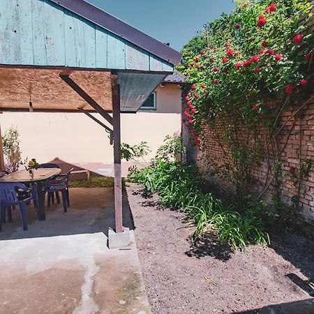 Casa Nelson * Sulina