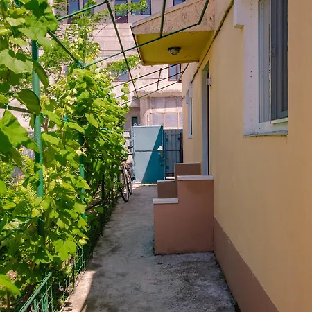 Casa Nelson Sulina