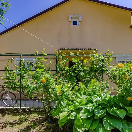 Guest house Casa Nelson