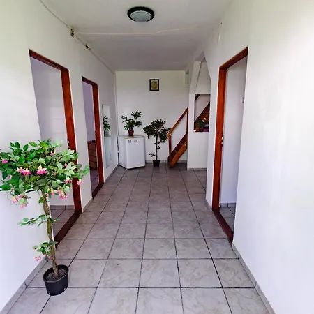 Casa Nelson Sulina